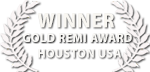 Gold Remi Award - Worldfest Houston